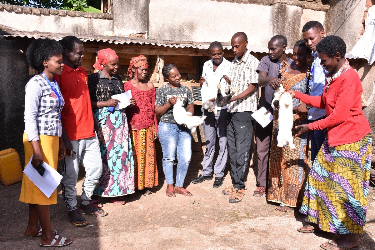 Our beneficiaries from Peer Driven Change Program (PDC) started rabbit farming business.