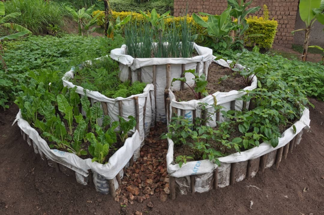 hope of family successfully constructed 100 kitchen gardens for vulnerable families